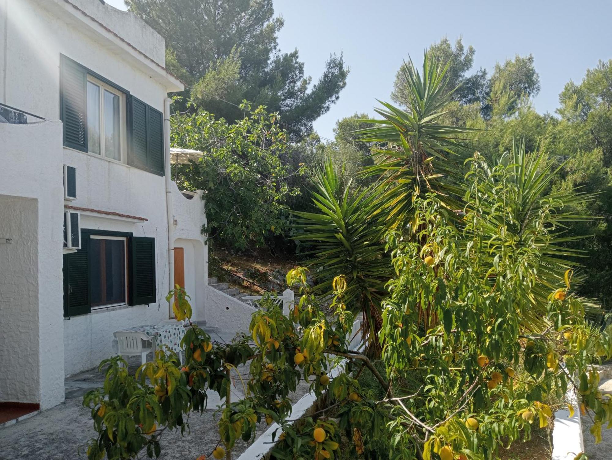 Residence Dolce Far Niente 비에스테 외부 사진