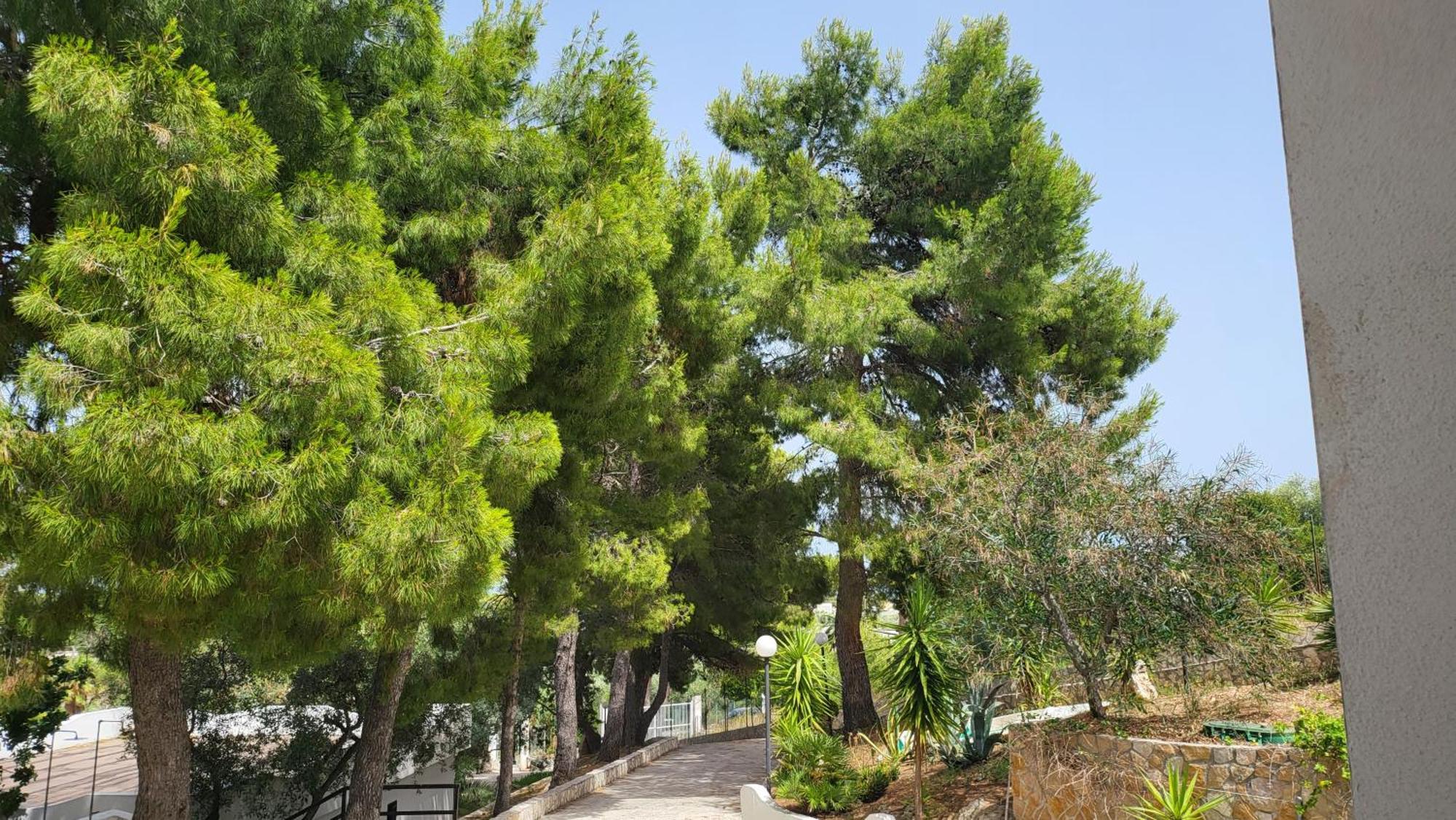 Residence Dolce Far Niente 비에스테 외부 사진
